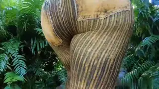 Ebony and PAWG Share BBC in Threesome