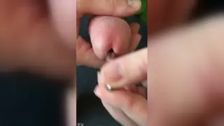 Solo Guy Experiments With Urethral Sounding
