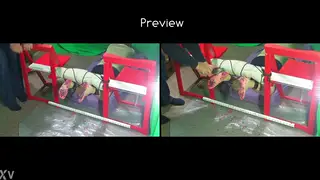 Submissive Guy Takes Hard Bastinado on Soles