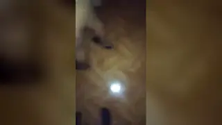 Waitress Accepts Cash for a Quick Backroom Encounter