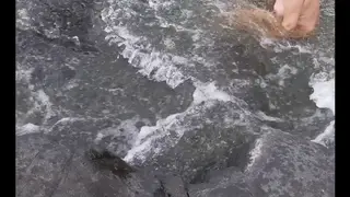Busty Wife Flashes Outdoors Before Poolside Cumshot
