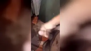 Chubby Bear Strokes Thick Cock to Completion