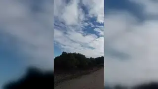 Muscular Hunk Flashes Massive Cock on Public Beach POV