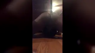 Thick Chocolate Ass Shakes While Getting Fucked Hard