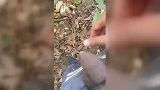 Indian Twinks Celebrate Holi with Piss and Raw Sex