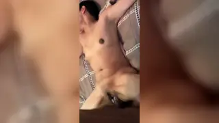 Indian Wife Swallows Every Drop After Titjob and Creampie