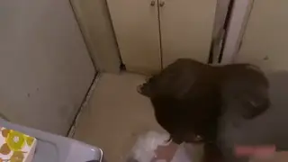 Petite Japanese Wife Delivers Skilled Handjob Release