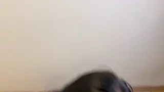 Curvy Latina Tries Casting With Her Boyfriend