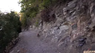 Blonde European Swallows Every Drop Outdoors