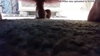 Teen Explores His Limits Riding a Toy on Camera