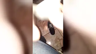 Foot Fetishist Sniffs Deep Into a Guy's Rank Soles