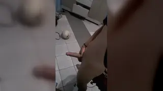 Asian Guy Strokes His Big Cock in Solo Session