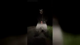 Hairy Bear Pisses Openly on a Busy Roadside