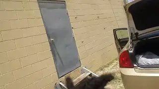 Black Stud Gets Serviced Outdoors Before Pissing Release