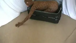 Blonde Teen Shows Off Flexible Moves