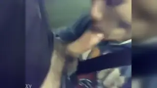 Commuter Kneels for a Quick Blowjob on the Train
