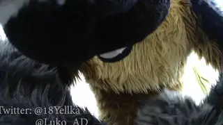 Furry Cosplay Pair Mate In Missionary On Soft Rug