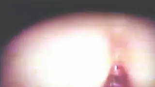 Compilation Fills Every Hole with Toys and Tongues