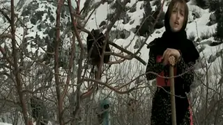 Arab Brunette Teases in Sheer Scarf and Slow Motion