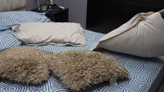 Stepdad Gives In When Stepdaughter Reaches for His Cock