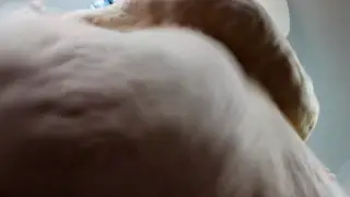 SSBBW Dominates POV With Huge Belly Smothering