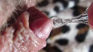 Woman Enjoys Intense Pussy Licking Orgasm