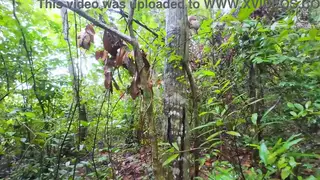 Petite Asian Nanny Bent Over Doggystyle in the Woods