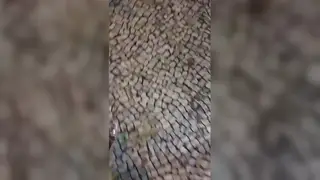 Latino Hunk Strokes His Cock on a Public Street