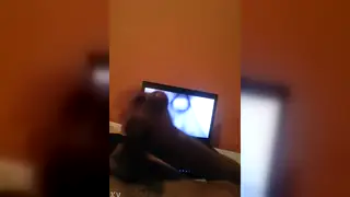 Solo Guy Strokes While Watching Porn