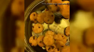 Solo Guy Finishes on a Plate of Cookies