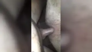 Hairy Latino Bear Takes BBC Bareback for Creampie