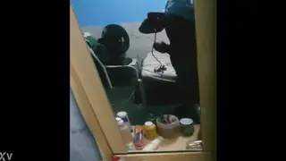 Smooth Twink Strokes His Cock in a Slow Handjob Tease