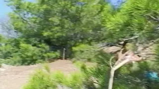 German MILF Shows Hairy Pussy in POV Outdoor Fuck