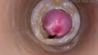 Internal Camera Captures Precum and Squirt in POV Creampie