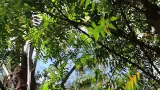 Muscular Bear Strokes His BBC Outdoors to Facial Finish