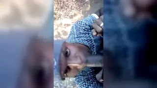 Indian Guy Gives a Slow Blowjob on Camera