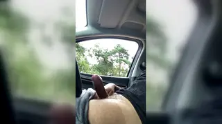 Latino Bear Strokes to Cumshot in Parked Car