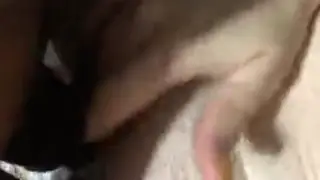 Voluptuous Amateur Takes BBC Deep in POV Encounter