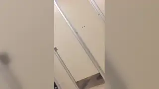Amateur Guy Strokes Himself in a Solo Session
