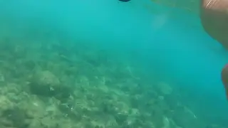 Slim European Twink Cums Hard Snorkeling at Public Beach