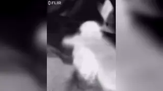 Solo Guy Strokes Thick Cock in Night Vision