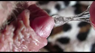Woman Reaches Intense Climax in Close-Up Detail