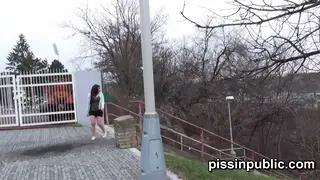 Blonde and Brunette Share Anal and Pissing Outdoors