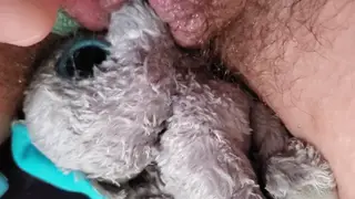 Teen Lesbians Share a Golden Shower Over a Stuffed Toy