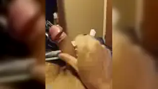Solo Stud Teases Thick Head Until Release