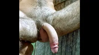 Two Men Trade Blowjobs Before Mutual Handjob Finish