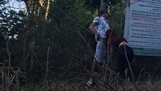 Redhead Driver Rides Passenger in Backseat Outdoors