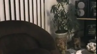 Straight Guy Swallows First Load in Shower