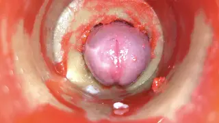 Internal Camera Captures Creampie Finish in POV Cuckold Scene