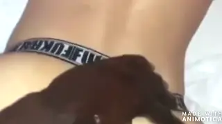 White Bottom Serves Black Top in Bareback Interracial